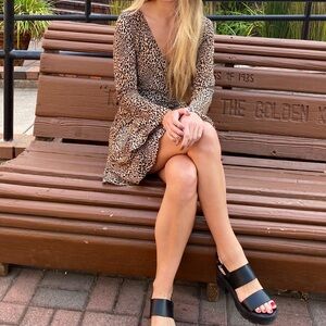 H&M Long Sleeve Animal Print Dress